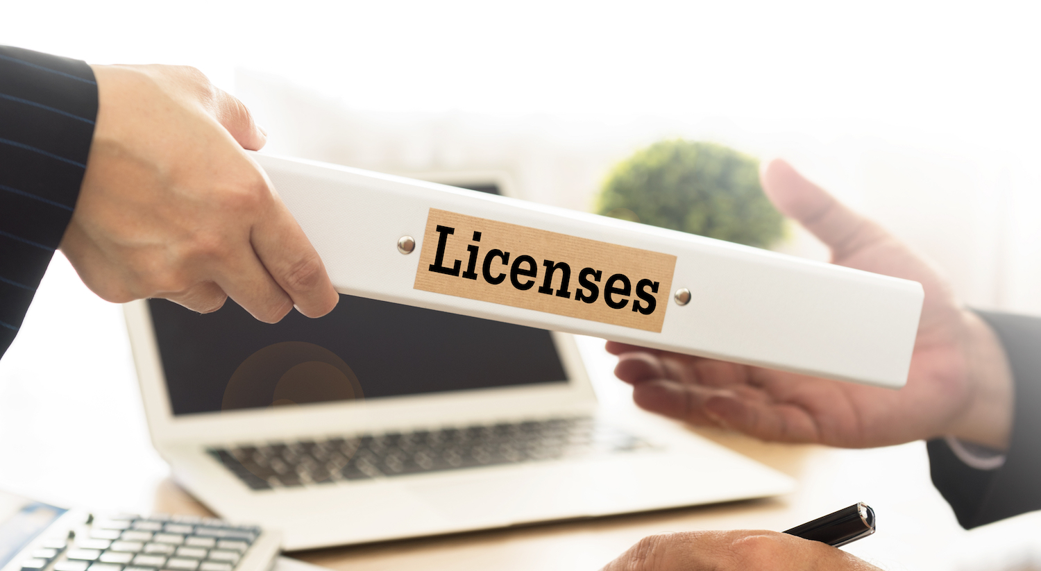 Trámites para emprendedores y empresas: Licencias, permisos y registro