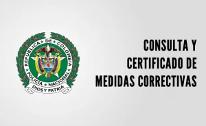 Cuál es la función del sistema de registro nacional de medidas correctivas en Colombia